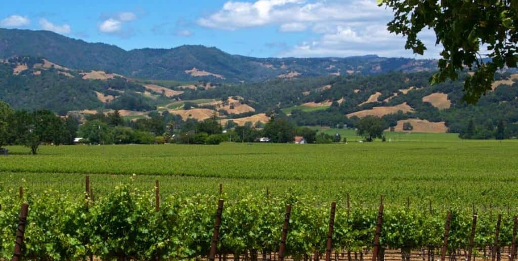 Sonoma County